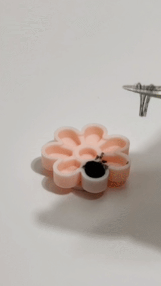 Popcorn Flower Cups - self adhering glue cups