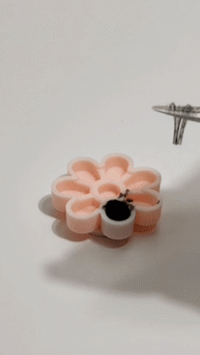 Popcorn Flower Cups - self adhering glue cups